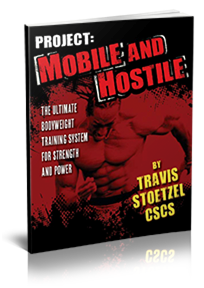 Project_Mobile_Hostile_by_Travis_Stoetzel