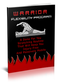 The-Warrior-Flexibility-Program-by-Tyler-Bramlett