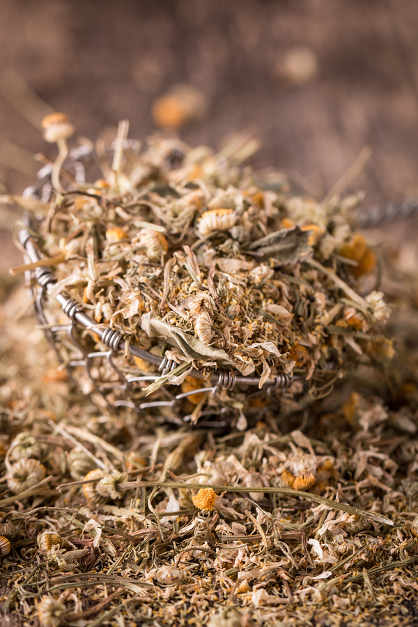 dried chamomile for eczema relief