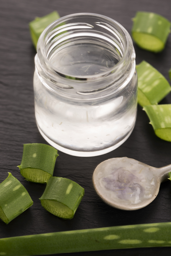 Aloe Vera Juice With Leaves Used To Get Rid Of Constipation