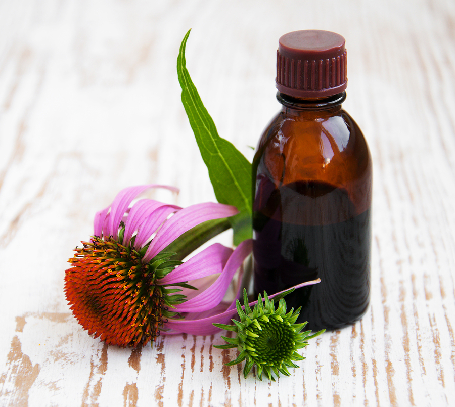 Echinacea tincture for making a sore throat natural remedy