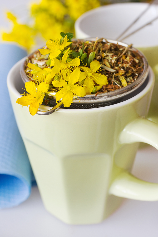 St. John’s Wort tea as home remedy for gingivitis