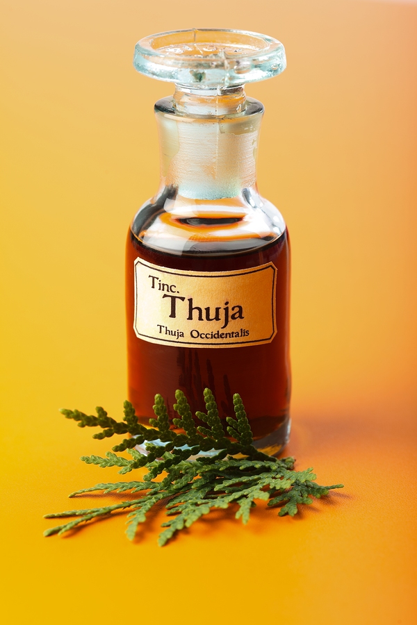 thuja tincture for sore throat