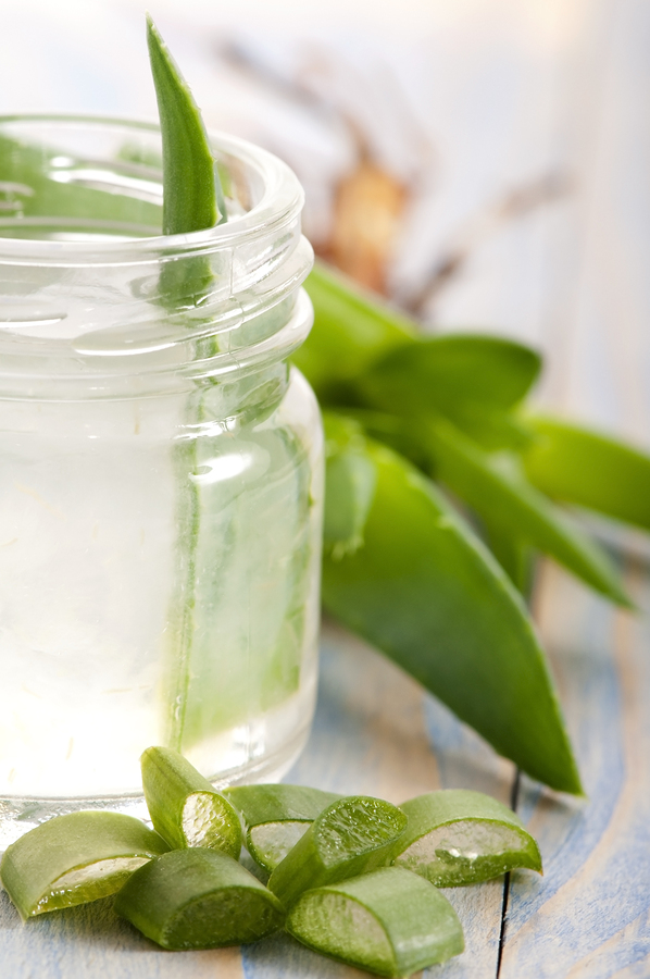 aloe vera juice for candida and yeast infection