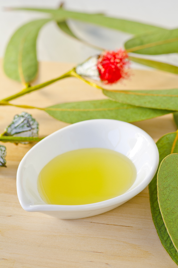 eucalyptus essential oil massage for phlegm