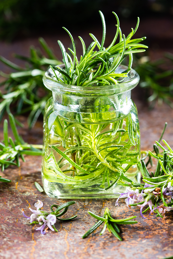 Rosemary essential oil for headaches