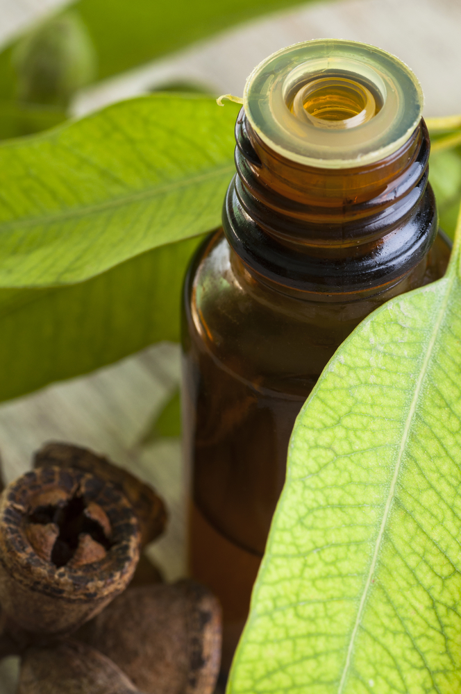 eucalyptus essential oil - home remedies for strep throat