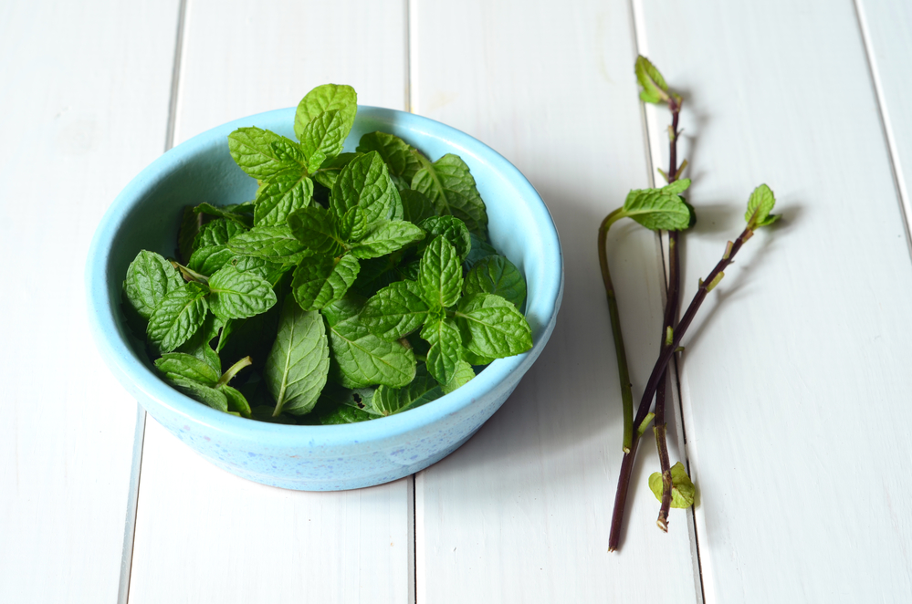 peppermint leaves used in a home remedy for ear infections