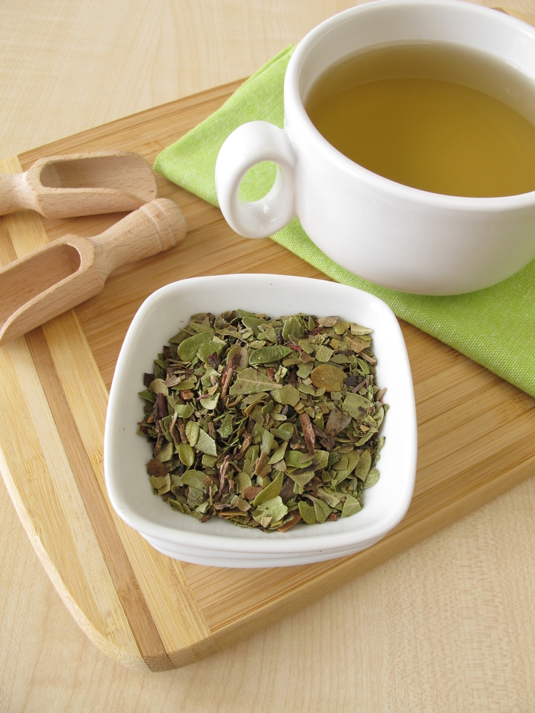 uva ursi tea - home remedies for UTI