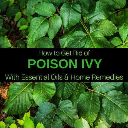 How to Get Rid of Poison Ivy: 15 Remedies & Essential Oils That Work